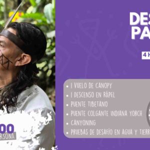 Desafío Panche
